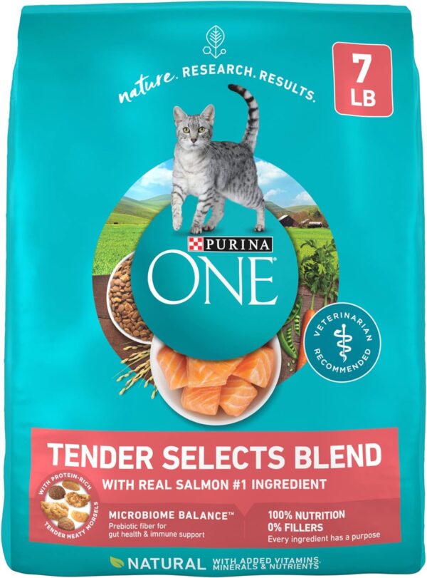 Purina ONE Natural Dry Cat Food, Tender Selects Blend With Real Salmon - 7 lb. Bag