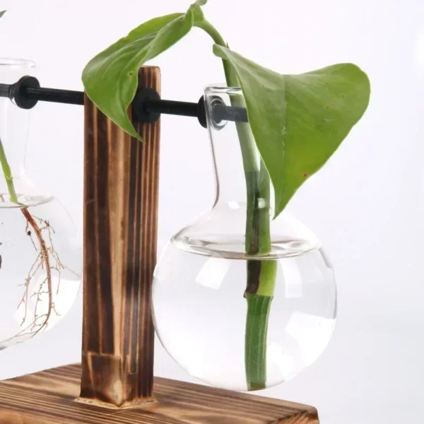 Hydroponic Plant Terrarium Vasevase Decoration Home Glass Bottle Hydroponic Desktop Decoration Office Green Plant Small Potted - Image 4