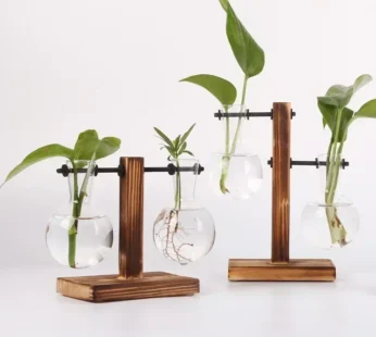 Hydroponic Plant Terrarium Vasevase Decoration Home Glass Bottle Hydroponic Desktop Decoration Office Green Plant Small Potted