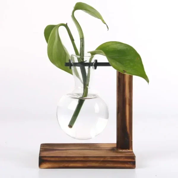 Hydroponic Plant Terrarium Vasevase Decoration Home Glass Bottle Hydroponic Desktop Decoration Office Green Plant Small Potted - Image 6